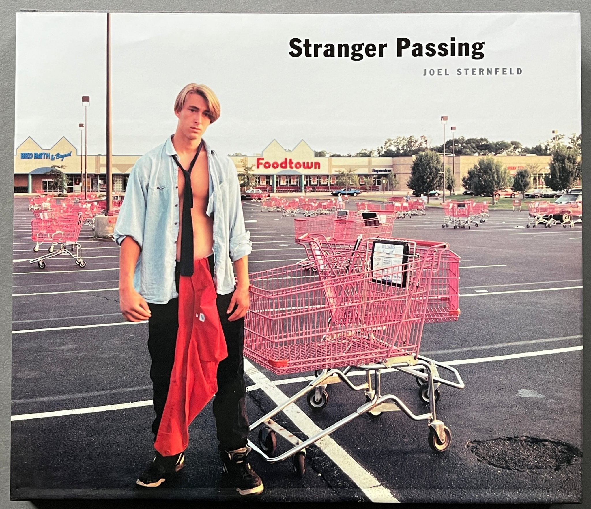JOEL STERNFELD STRANGER PASSING 写真集 古書古本Totodo：Joel Sternfeld: Stranger Passing [First Edition