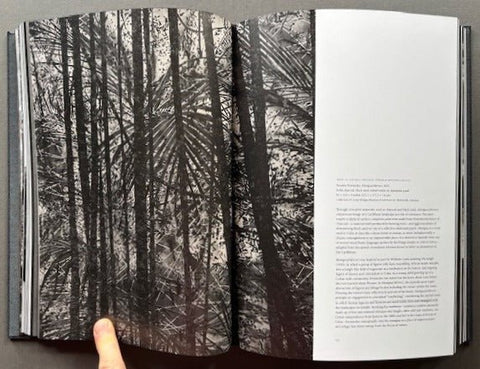 Teresita Fernandez / Robert Smithson - Setanta Books