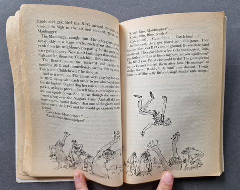The BFG - Setanta Books