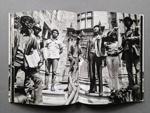 The Black Panthers - Setanta Books