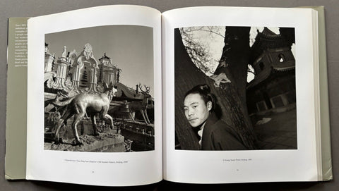 The Chinese - Setanta Books