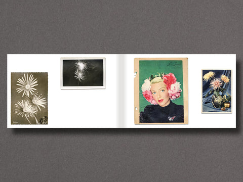 The Dead Are Glad to Be Remembered Limited Edition with Print