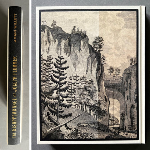 The Disappearance of Joseph Plummer - Setanta Books