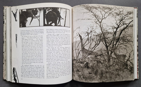 The End Of The Game - Setanta Books