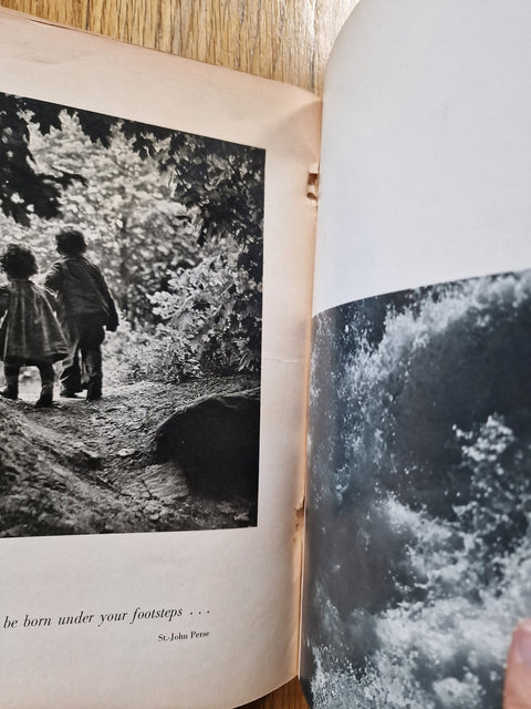 The Family of Man - Setanta Books