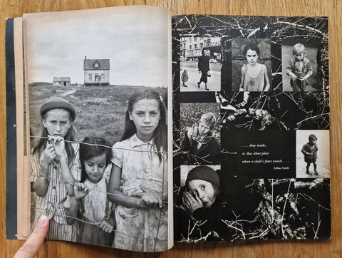 The Family of Man - Setanta Books