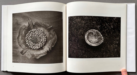 The Hidden Presence Of Places - Setanta Books