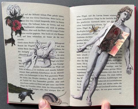 The Little Jungle Book - Setanta Books