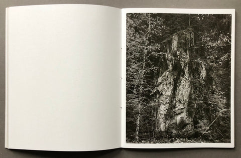 The Living Mountain