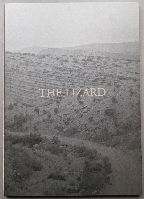 The Lizard - Setanta Books