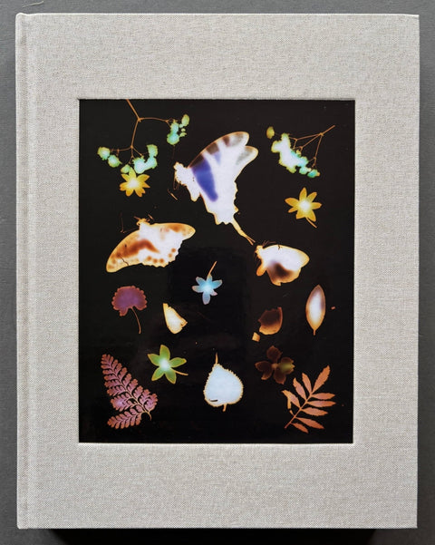 The Marble - Setanta Books