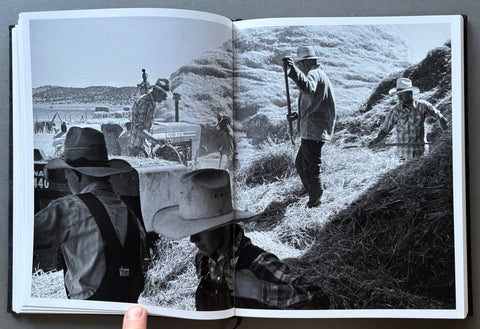 The Mennonites - Setanta Books