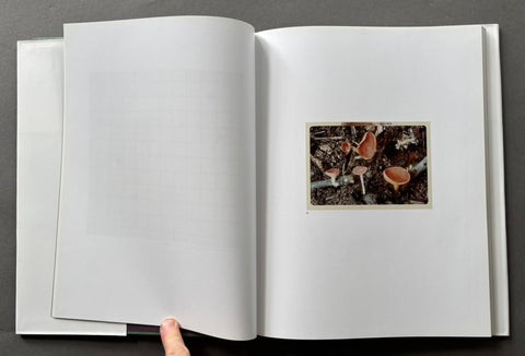 The Mushroom Collector - Setanta Books