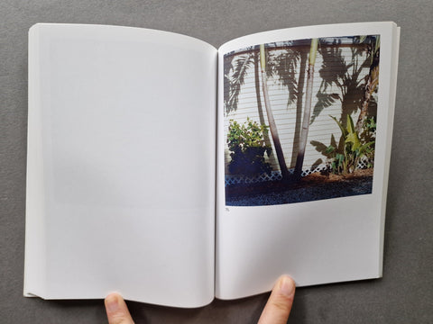 The Mushroom Collector - Setanta Books