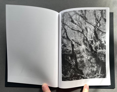 The Rooted Heart Began To Change - Setanta Books