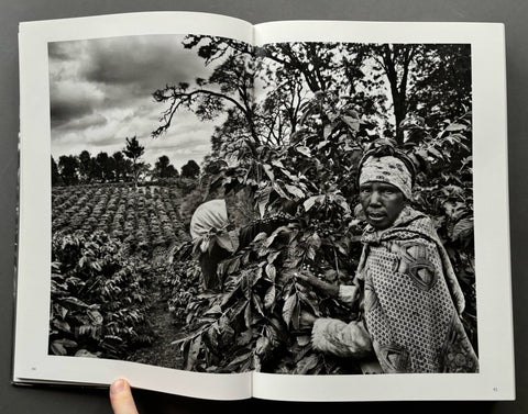 The Scent Of A Dream: Travels In The World Of Coffee - Setanta Books