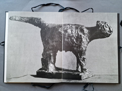 The Sculptures of Picasso - Setanta Books
