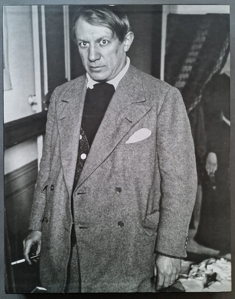 The Sculptures of Picasso - Setanta Books
