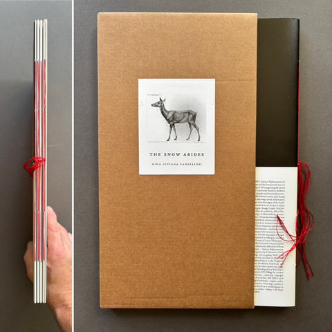 The Snow Abides - Setanta Books