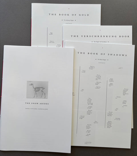 The Snow Abides - Setanta Books