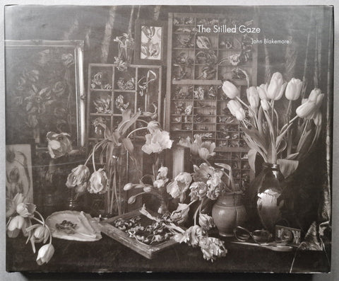 The Stilled Gaze - Setanta Books