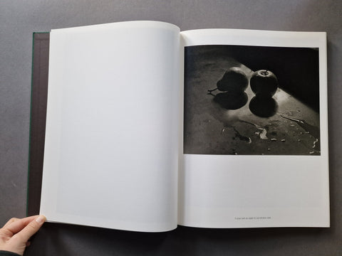 The Stillness of Life - Setanta Books