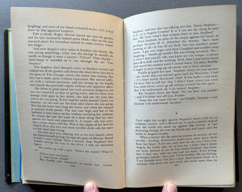 The Well of Loneliness - Setanta Books