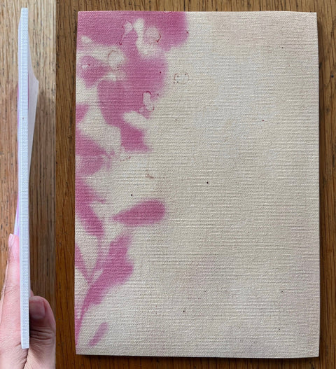 Those Windy Days - Setanta Books