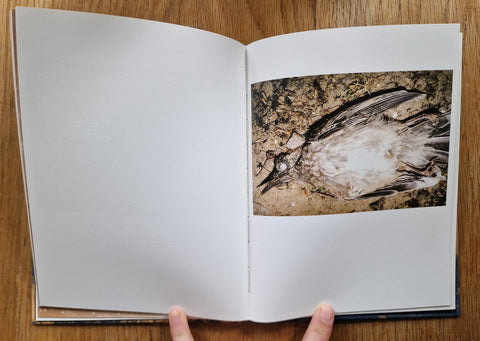 Time After Time - Setanta Books