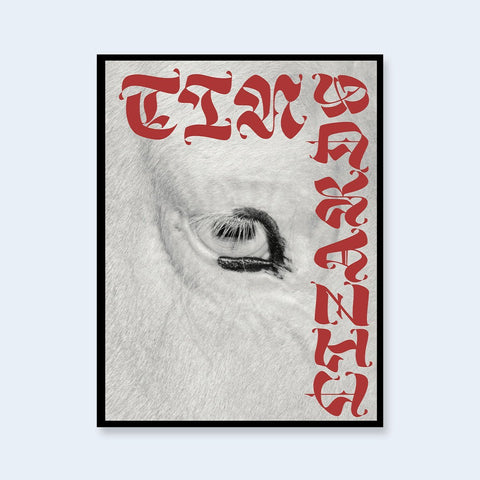 Tin Lizards - Setanta Books