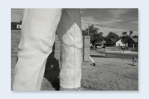 Tin Lizards - Setanta Books