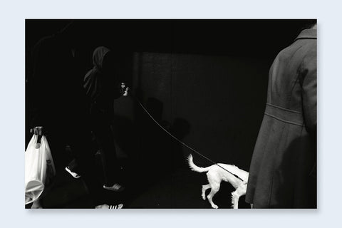 Tin Lizards - Setanta Books