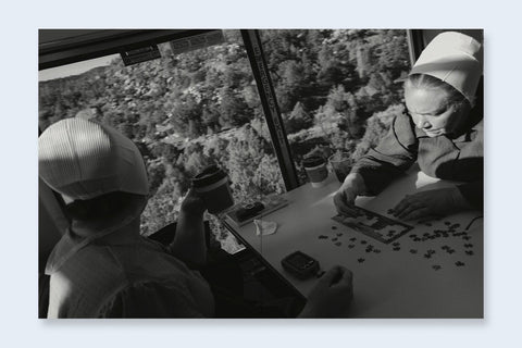 Tin Lizards - Setanta Books