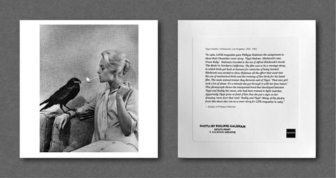 Tippi Hedren, Hollywood, Los Angeles, USA (1962) - Setanta Books
