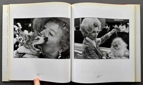 To The Dogs - Setanta Books