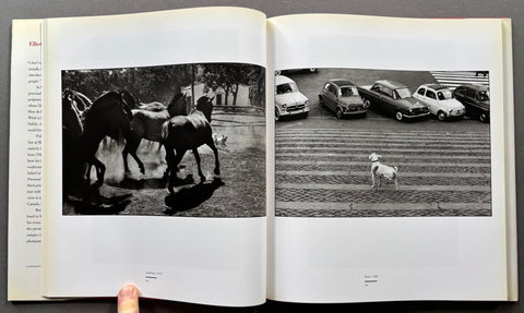 To The Dogs - Setanta Books