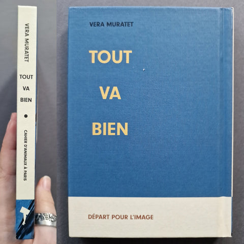 Tout va bien - Setanta Books