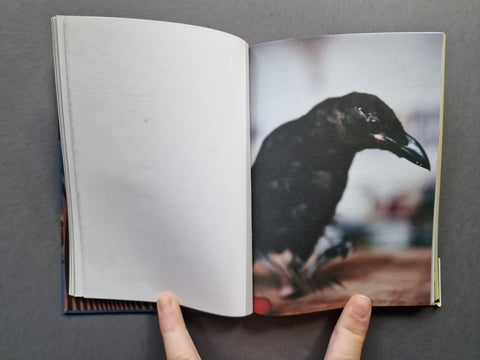 Tout va bien - Setanta Books