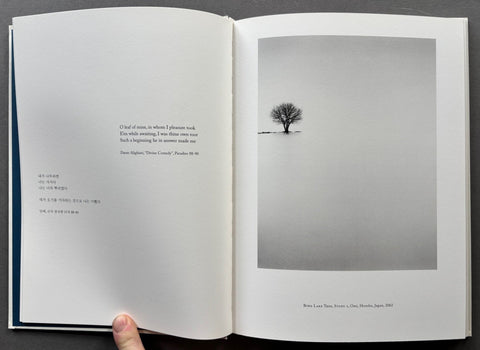 Tranquil Morning - Setanta Books