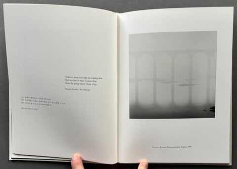 Tranquil Morning - Setanta Books