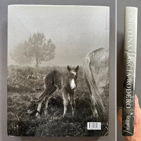 Transtempo - Setanta Books