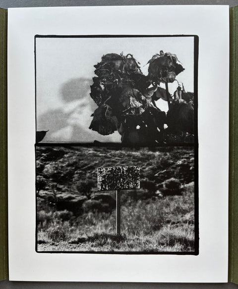 Traumerei - Setanta Books