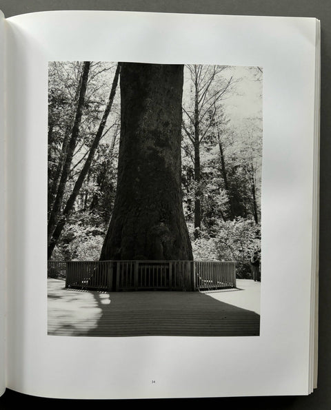 Turning Back - Setanta Books