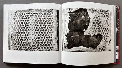 Under the Skin of Reality - Setanta Books
