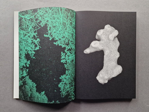 Ursa Major - Setanta Books