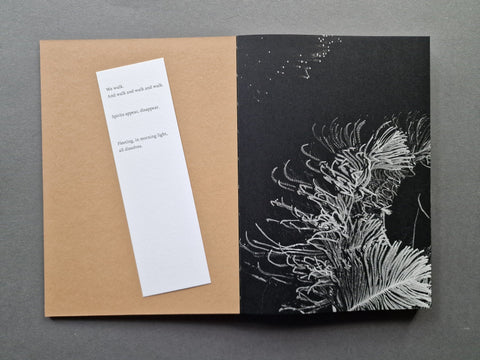 Ursa Major - Setanta Books