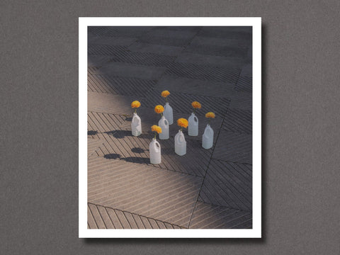 VASES - Setanta Books