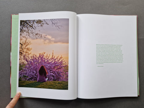 Verdigris / Ambergris - Setanta Books