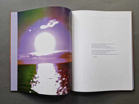 Verdigris / Ambergris - Setanta Books