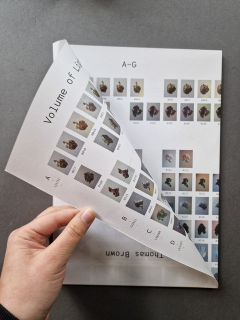 Volume of Light - Setanta Books